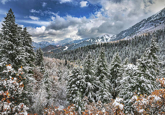 American Photograph - Sundance Snow And Sun, Utah by Abbie Warnock