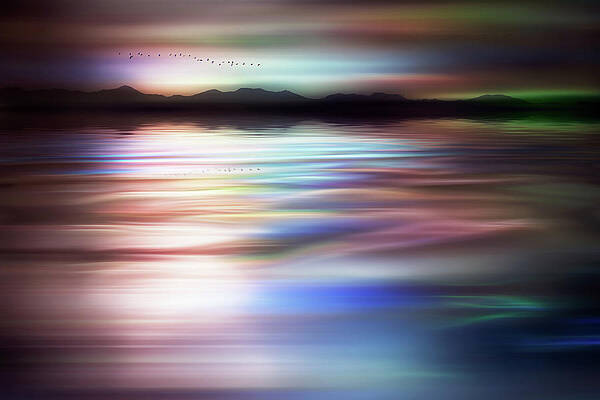 Abstract Photograph - Sundown by Ursula Abresch