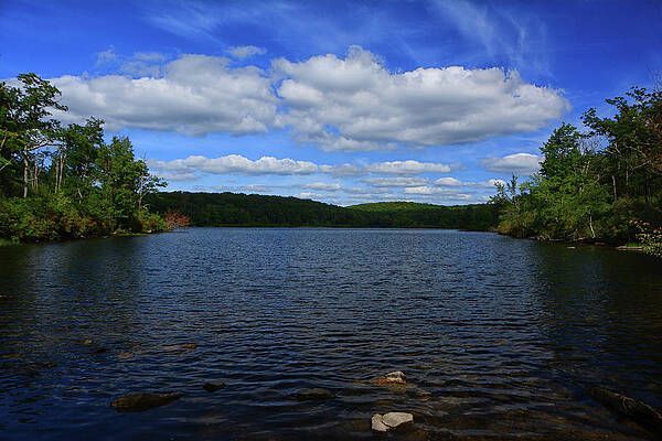 Wall Art featuring the photograph Sunfish Pond Looking AT North by Raymond Salani III