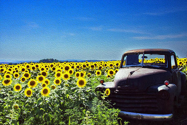 Wall Art featuring the photograph Sunflower Truck by Gary Wightman
