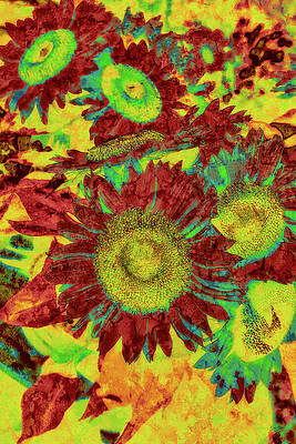 Wall Art featuring the digital art Sunflowers With Lichen Texture by Bruce Block