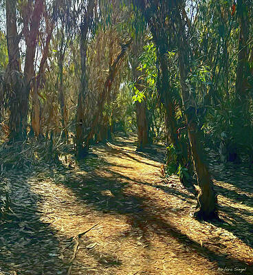 Sunlit Forest Path Wall Art