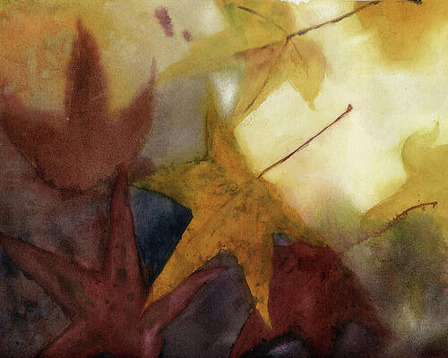 Fall Wall Art featuring the painting Sunny Autumn Sweet Gum Leaves by Elizabeth Reich