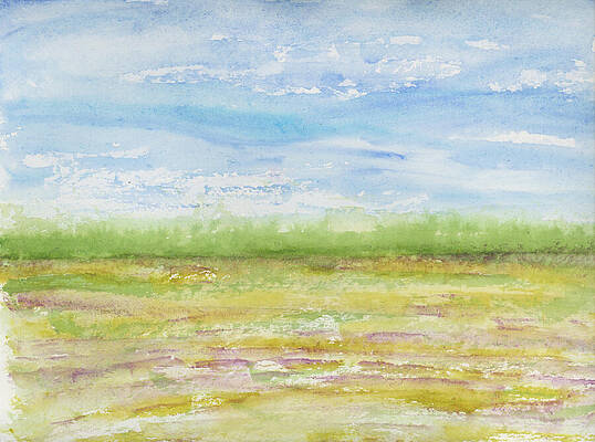 Colorful Painting - Sunny Field Day South Carolina Field Series by Elizabeth Reich