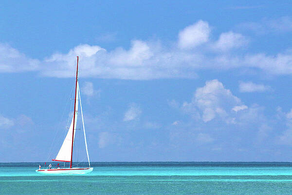 Photograph - Sunny Sailing - St. Maarten by Ron Berezuk