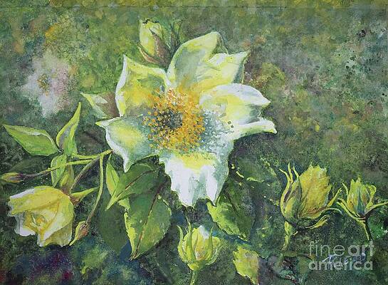 Wall Art featuring the painting Sunny by Sybil Riead