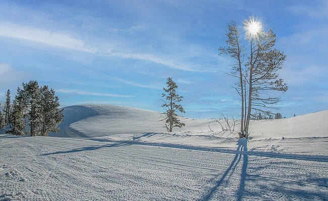 Sunny Winter Landscape Wall Art