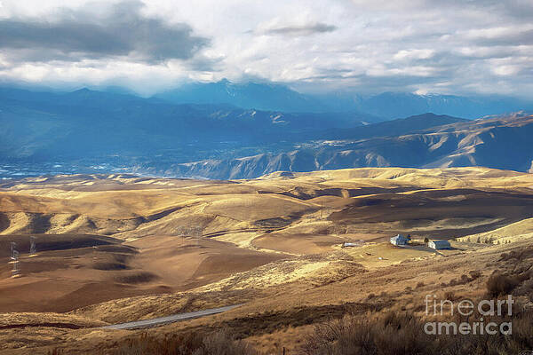 Summer Photograph - Sunnyslope by Macro Abundance