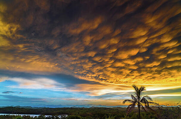 Sunrise Wall Art featuring the photograph Sunrise After The Storm by Tommy Farnsworth