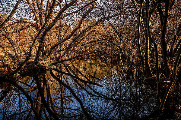 Pennsylvania Photograph - Sunrise And Shadows On The Creek by Anthony Hightower