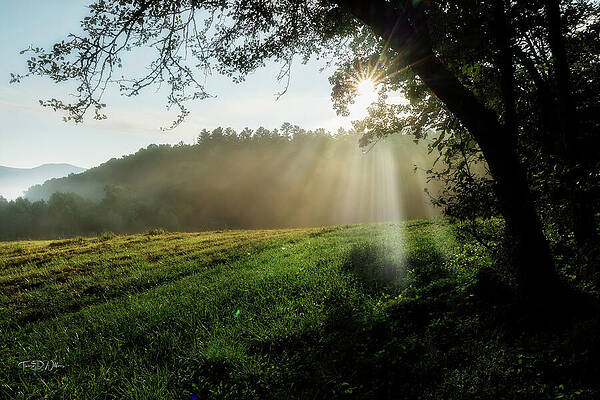 Sunrise Photograph - Sunrise At Cades Cove by Theresa D Williams Smoky Mountains