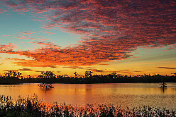 Texas Wall Art featuring the photograph Spring Sunrise At McKinnish Park 2 by Ron Long Ltd Photography