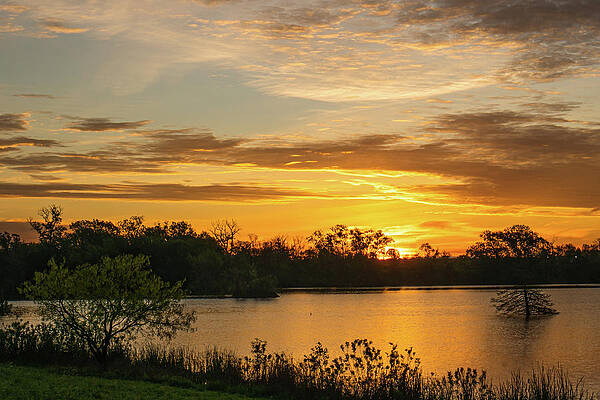 Texas Wall Art featuring the photograph Spring Sunrise At McKinnish Park 3 by Ron Long Ltd Photography