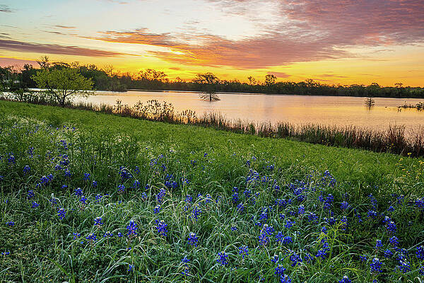 Texas Wall Art featuring the photograph Spring Sunrise At McKinnish Park by Ron Long Ltd Photography