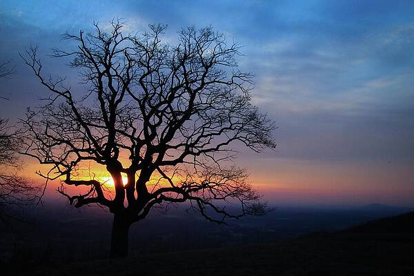 Wall Art featuring the photograph Sunrise At The Saddle Overlook by Deb Beausoleil