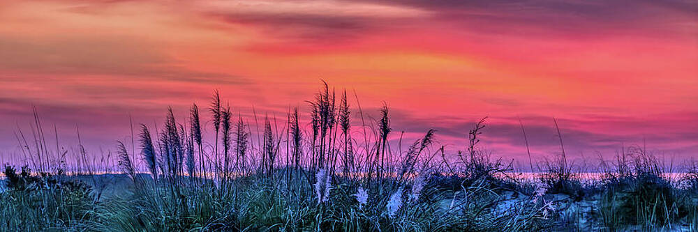 Wall Art featuring the photograph Sunrise At Wild Dunes by Maryanne Keeling