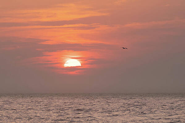 Summer Wall Art featuring the photograph Sunrise Between The Clouds by Matthew DeGrushe