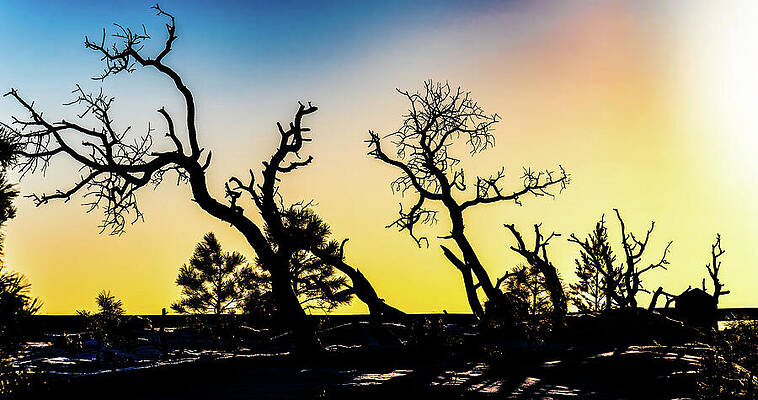 Sunrise Wall Art featuring the photograph Sunrise Bryce Canyon Utah USA by Tommy Farnsworth