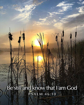 Sunrise Photograph - Sunrise Cattails by Greg Lane