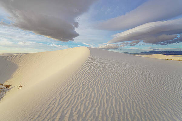 Wall Art featuring the photograph Sunrise Dune 2 by Sunniye Buesing