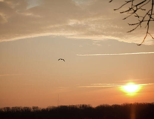 Photograph - Sunrise Fort Madison Iowa by Robert Allen Hill