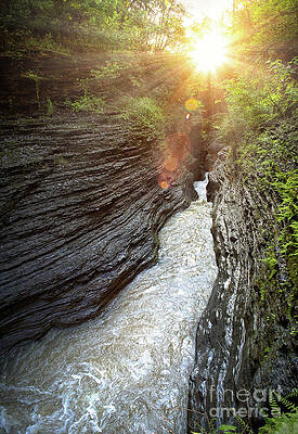 Wall Art featuring the photograph Sunrise In The Gorge by Rehna George