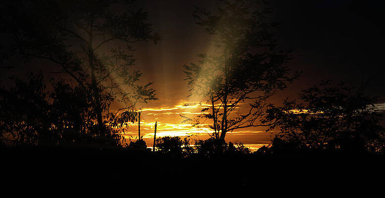 West Virginia Photograph - Sunrise In The Woods by Jonny D