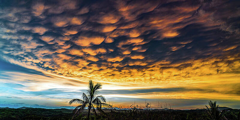 Sunrise Wall Art featuring the photograph Sunrise Mazatlan Mexico by Tommy Farnsworth
