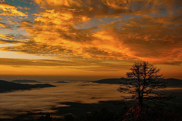 Wall Art featuring the photograph Sunrise Moment by Deb Beausoleil