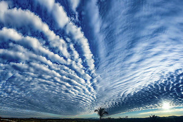 Sunrise Wall Art featuring the photograph Sunrise Morning Clouds Mazatlan Mexico by Tommy Farnsworth