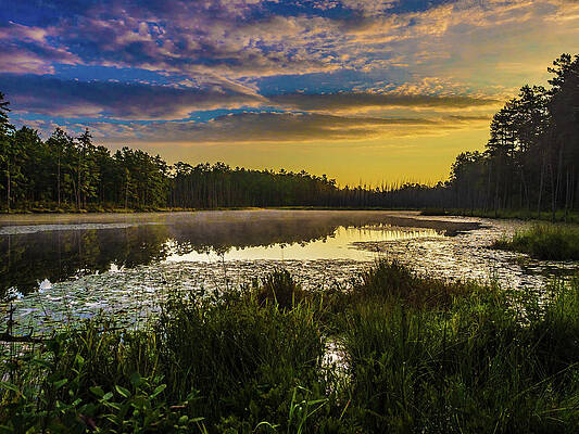 Sky Wall Art featuring the photograph Sunrise On Roberts Branch by Louis Dallara