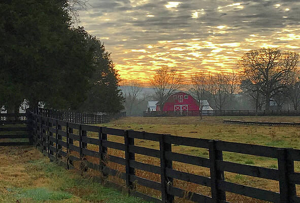 Southern Wall Art featuring the photograph Sunrise On The Farm by Greg Lane