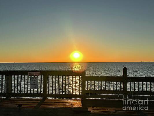 Sunrise Over Calm Sea by Catherine Wilson