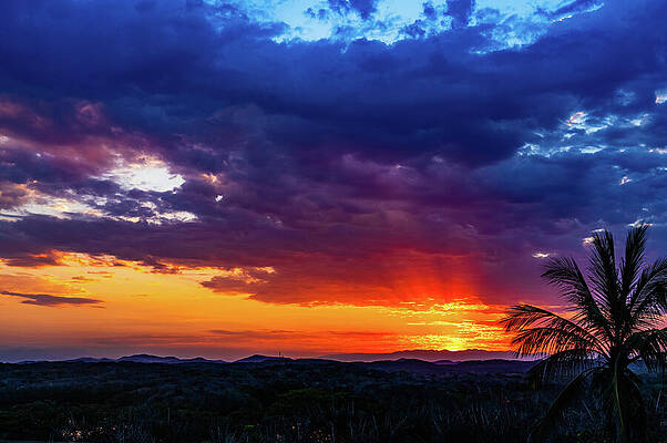 Sunrise Wall Art featuring the photograph Sunrise Over Jungle Mazatlan Mexico by Tommy Farnsworth