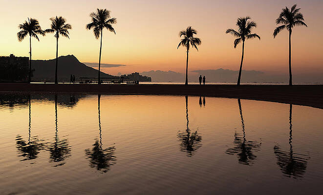 Hawaii Wall Art featuring the photograph Sunrise Over Ocean With Palm Trees by Steven Heap