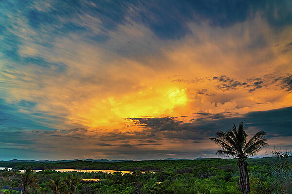 Sunrise Wall Art featuring the photograph Sunrise Over The Jungle Lagoon Mazatlan Mexico by Tommy Farnsworth