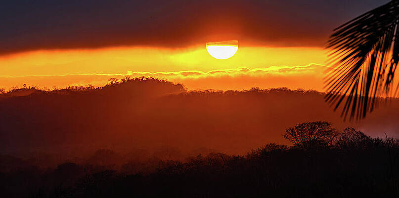 Nature Wall Art featuring the photograph Sunrise Over The Jungle Mazatlan by Tommy Farnsworth
