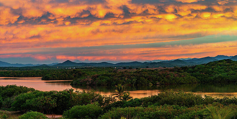 Sunrise Wall Art featuring the photograph Sunrise Over The Lagoon Jungle by Tommy Farnsworth