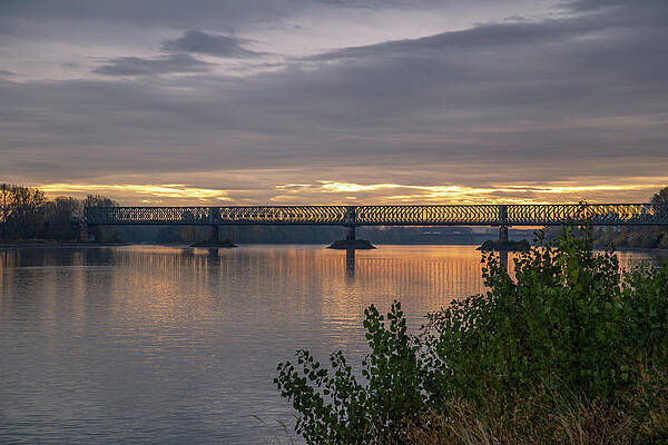 Serene Wall Art featuring the photograph Sunrise Over The Rhine River - Mainz, Germany #1 by Cindy Robinson