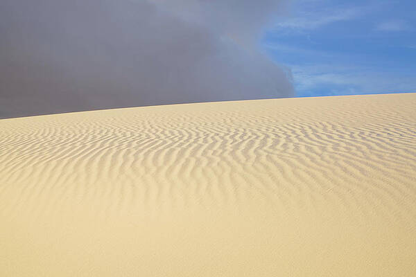 Wall Art featuring the photograph Sunrise Sand Patterns 2 by Sunniye Buesing