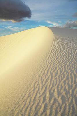 Wall Art featuring the photograph Sunrise Sand Patterns 5 by Sunniye Buesing