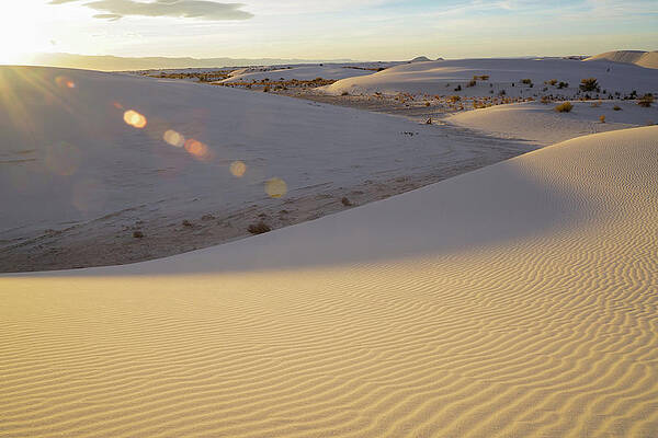 Wall Art featuring the photograph Sunrise Sand Patterns by Sunniye Buesing