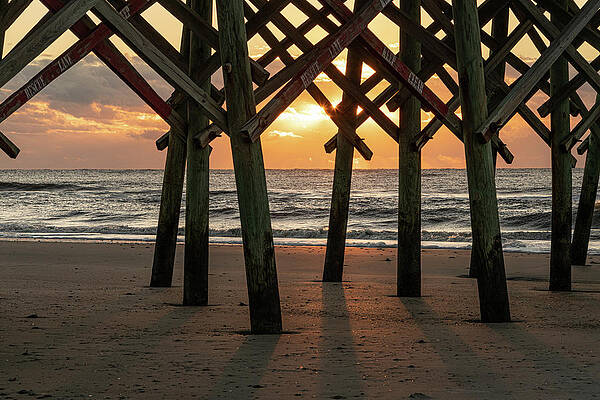 South Carolina Wall Art featuring the photograph Sunrise Silhoutette by Douglas Wielfaert