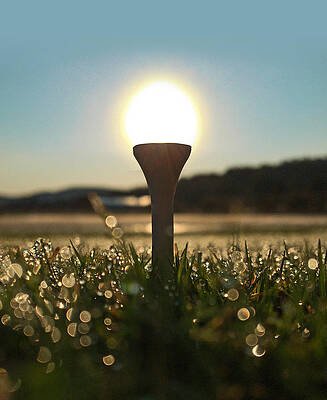 Natural Photograph - Sunrise Tee Time by Greg Lane