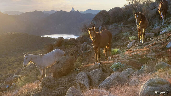 Arizona Photograph - Sunrise Trek. by Paul Martin