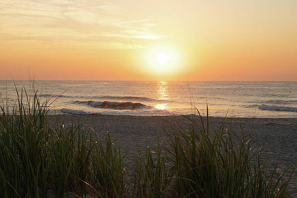 Summer Wall Art featuring the photograph Sunrise View From Behind The Dune Grass by Matthew DeGrushe