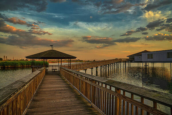 Wall Art featuring the photograph Sunset At DeKorte Park by Penny Polakoff