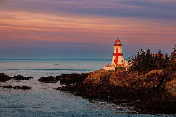 Tree Photograph - Sunset At East Quoddy Lighthouse by Richard DeYoung