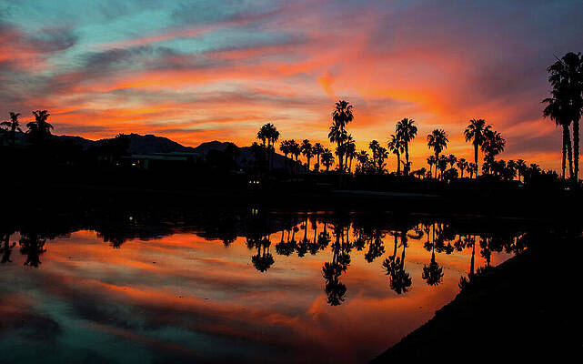 Tree Photograph - Summeresque Desert Sky Silhouette Refections by Bonnie Colgan