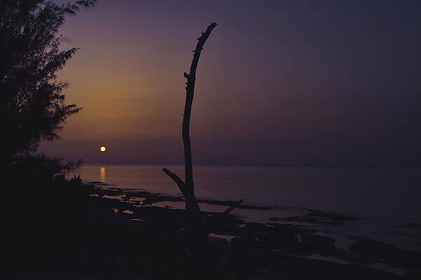 Wall Art featuring the photograph Sunset At Jaws Beach 1 by Gian Smith